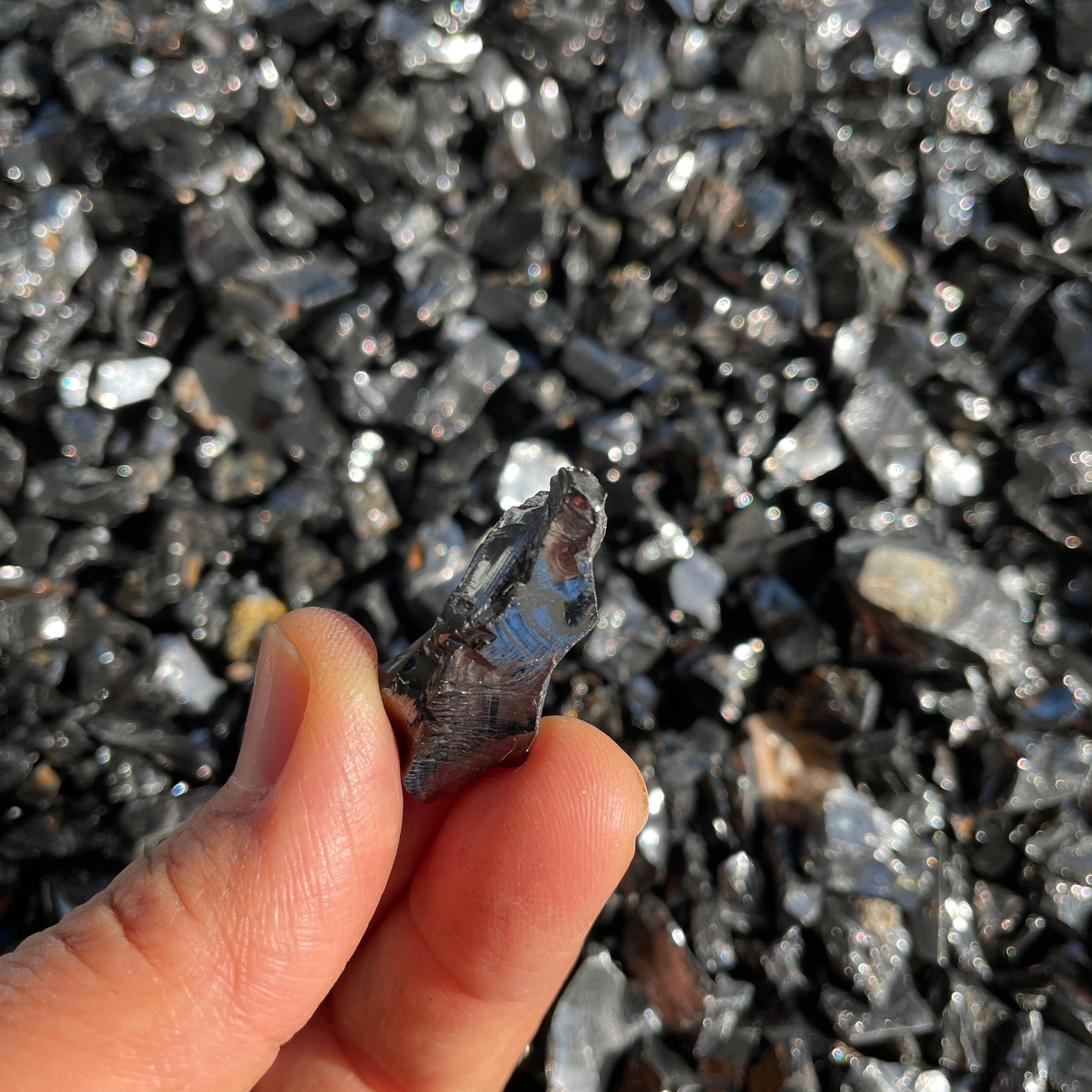 Shungite-Noble/Elite-Large(2-3cm)- 1pc Shungite-Noble/Elite-Large(2-3cm)- 1pc